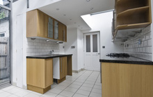 Thames Ditton kitchen extension leads